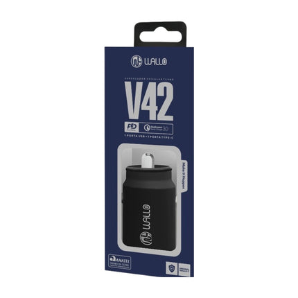 V-42 IP